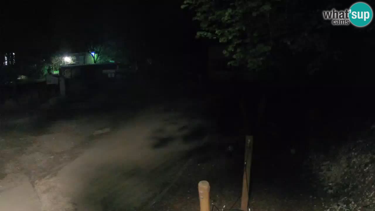 Skrad live cam Zeleni Vir