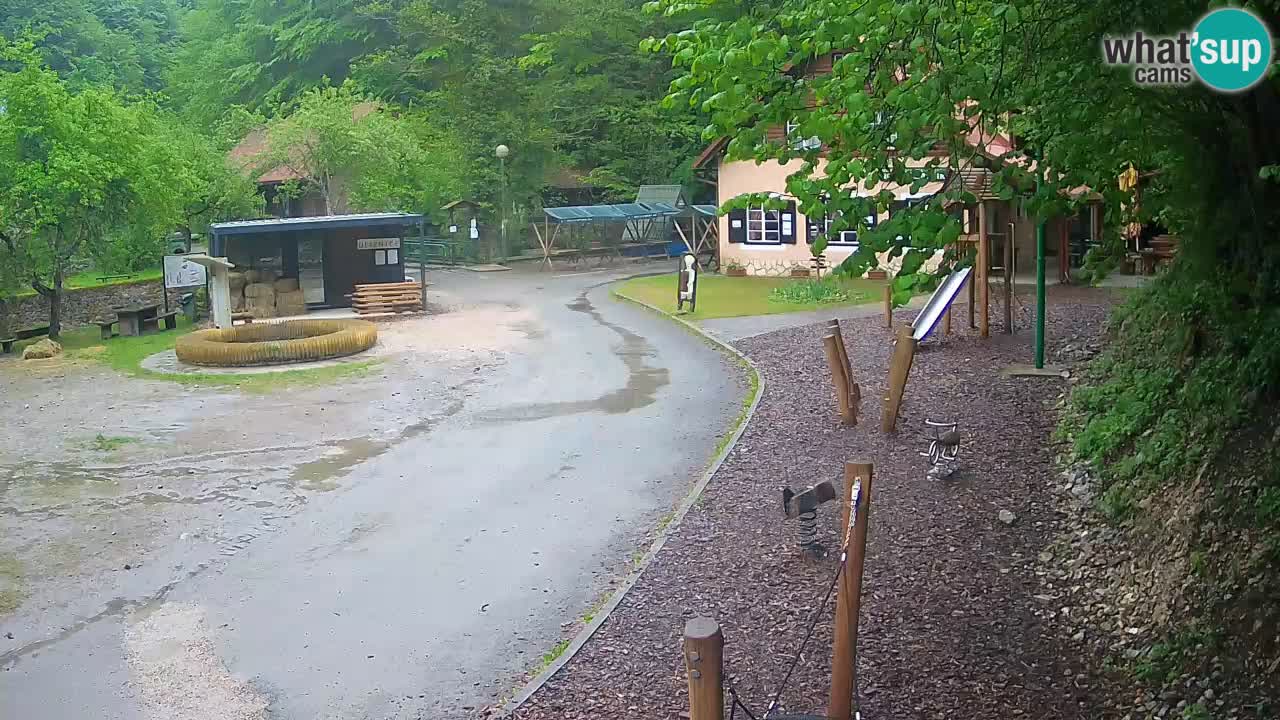 Skrad webcam Zeleni Vir