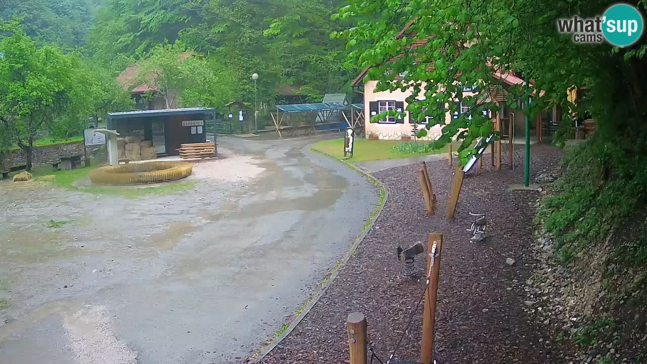 Skrad webcam Zeleni Vir