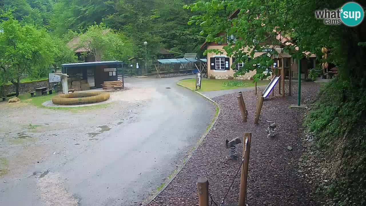 Skrad live cam Zeleni Vir