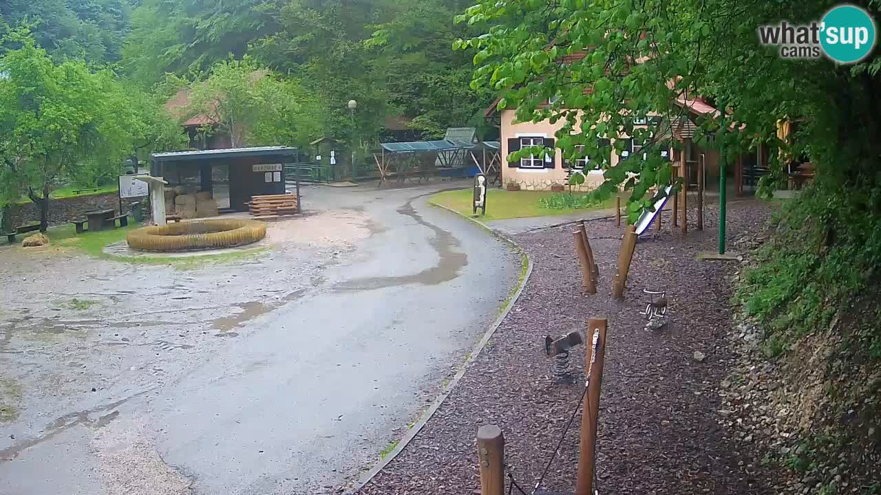Skrad webcam Zeleni Vir