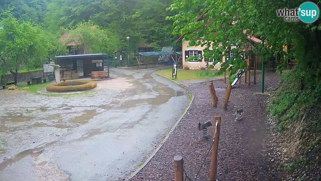 Skrad livecam Zeleni Vir