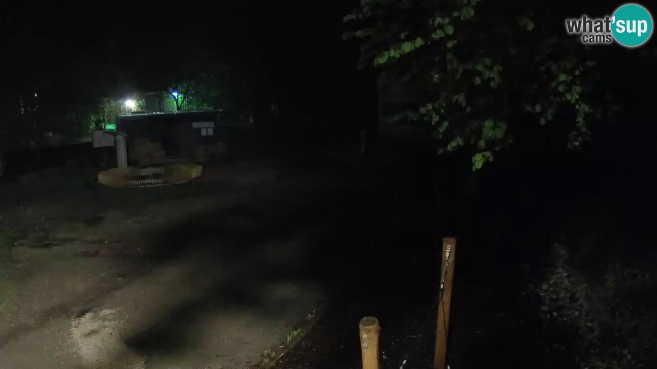 Skrad webcam Zeleni Vir