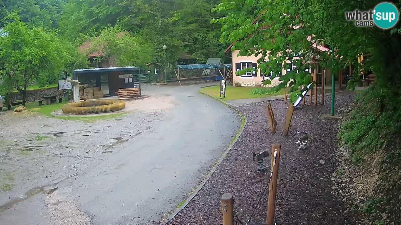 Skrad Livecam Zeleni Vir