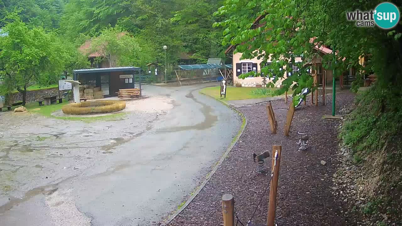 Skrad webcam Zeleni Vir