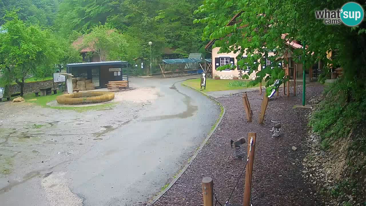 Skrad webcam Zeleni Vir