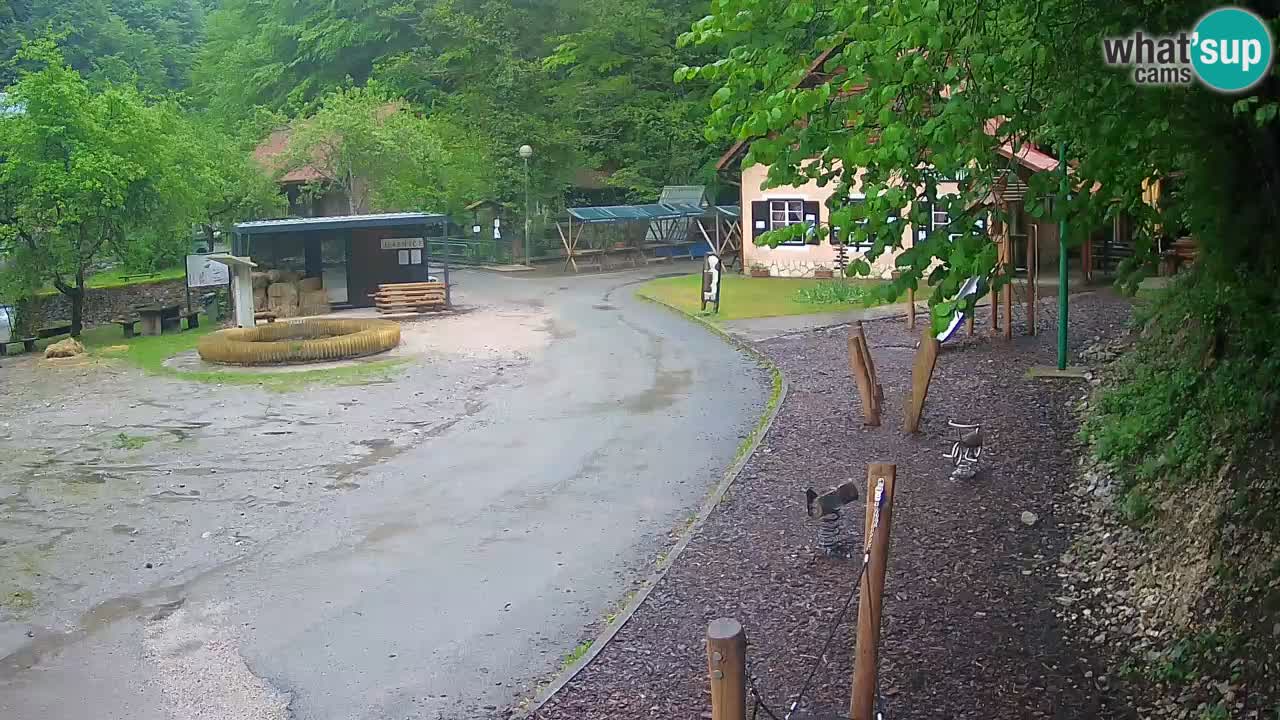 Skrad webcam Zeleni Vir
