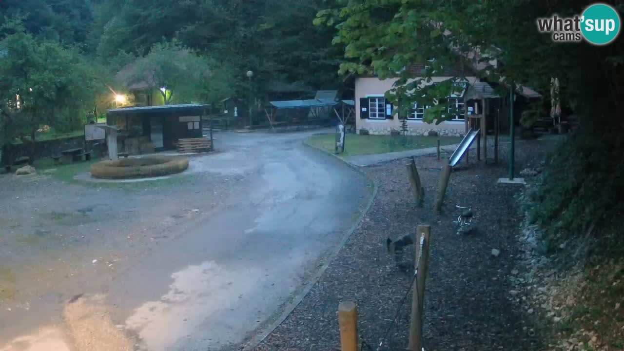 Skrad webcam Zeleni Vir