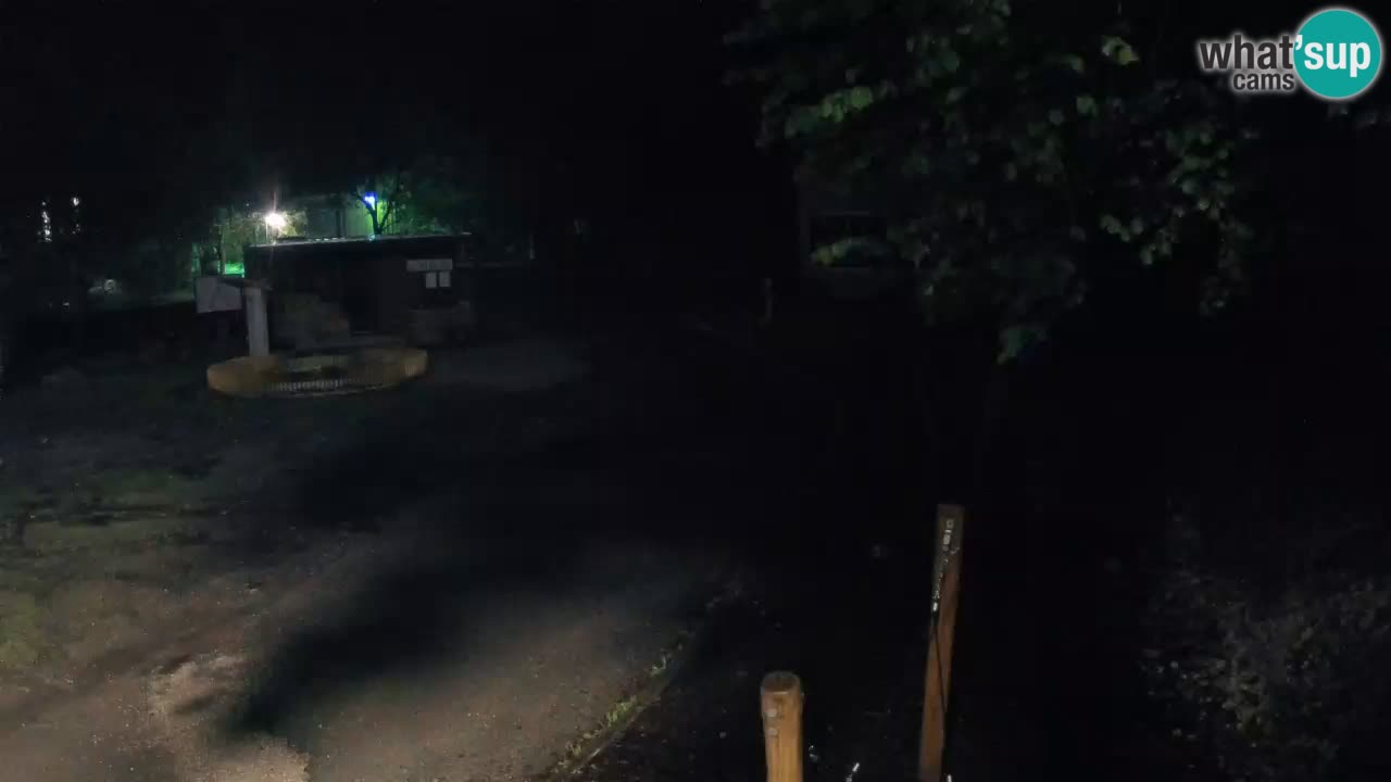 Skrad spletna kamera Zeleni Vir