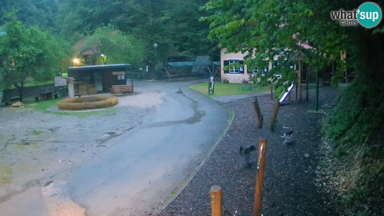 Skrad webcam Zeleni Vir