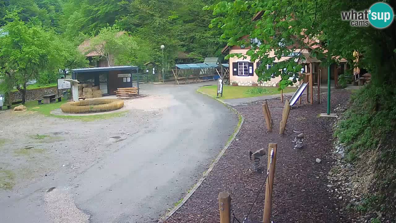 Skrad live cam Zeleni Vir