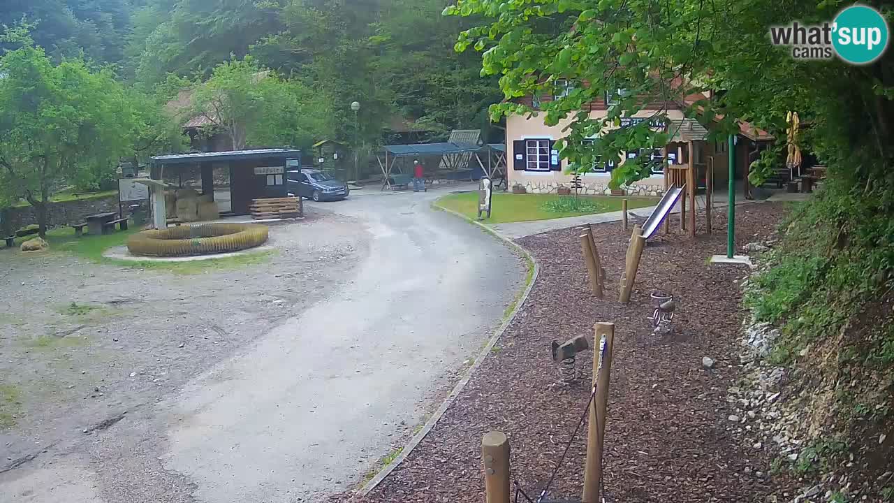 Skrad web kamera Zeleni Vir
