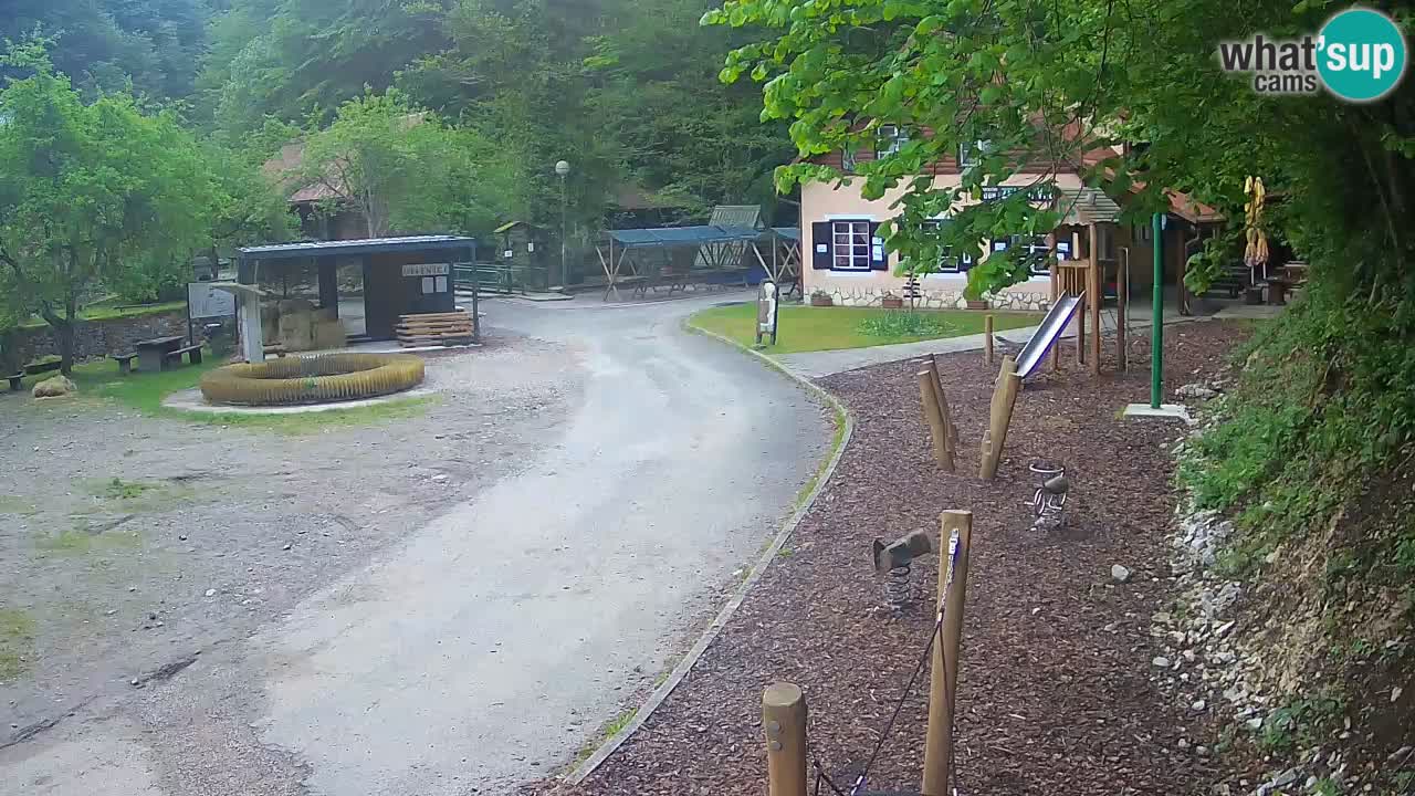 Skrad livecam Zeleni Vir