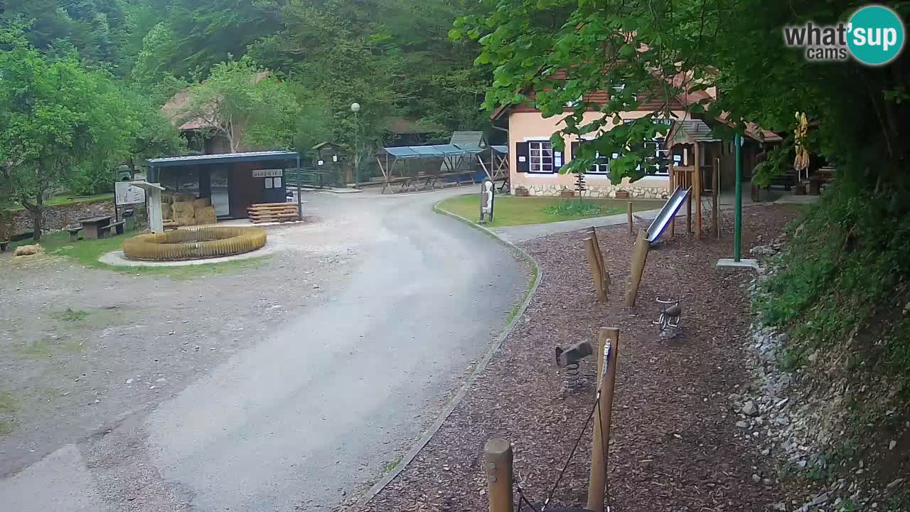 Skrad webcam Zeleni Vir