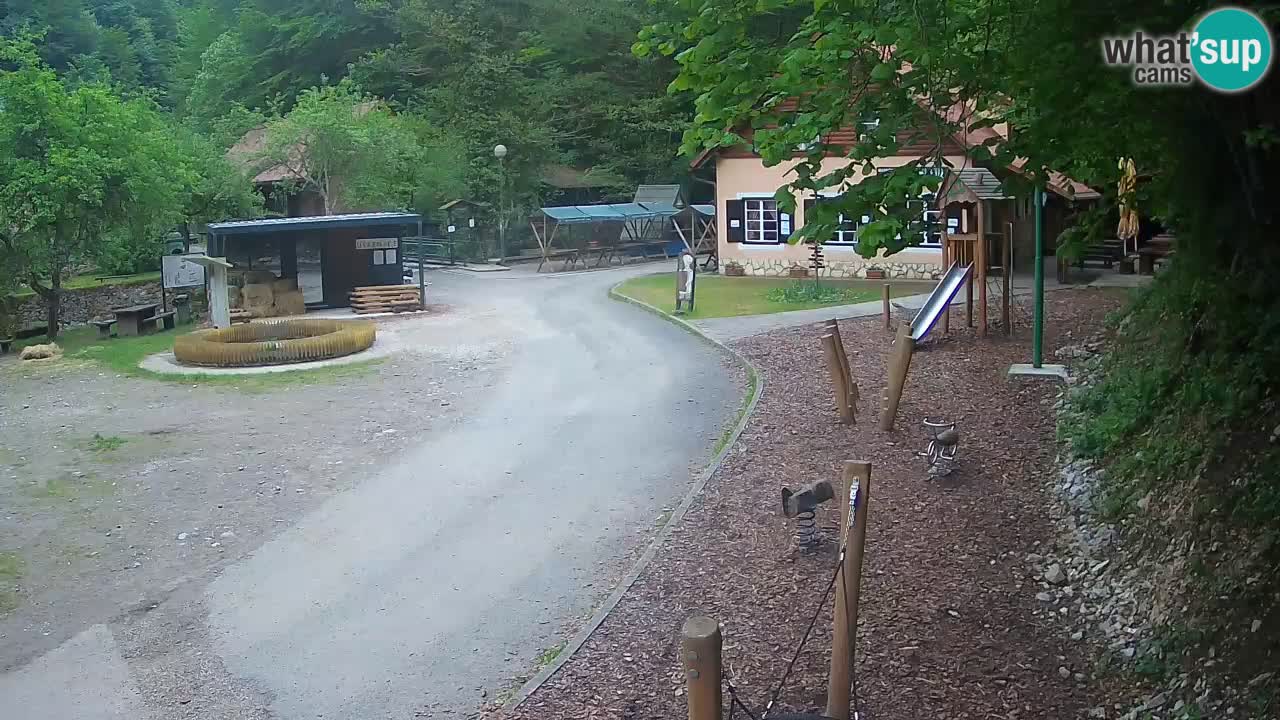 Skrad webcam Zeleni Vir