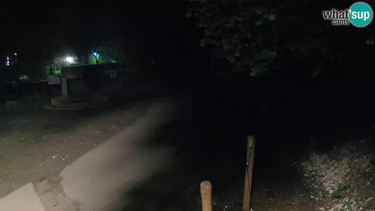 Skrad live cam Zeleni Vir