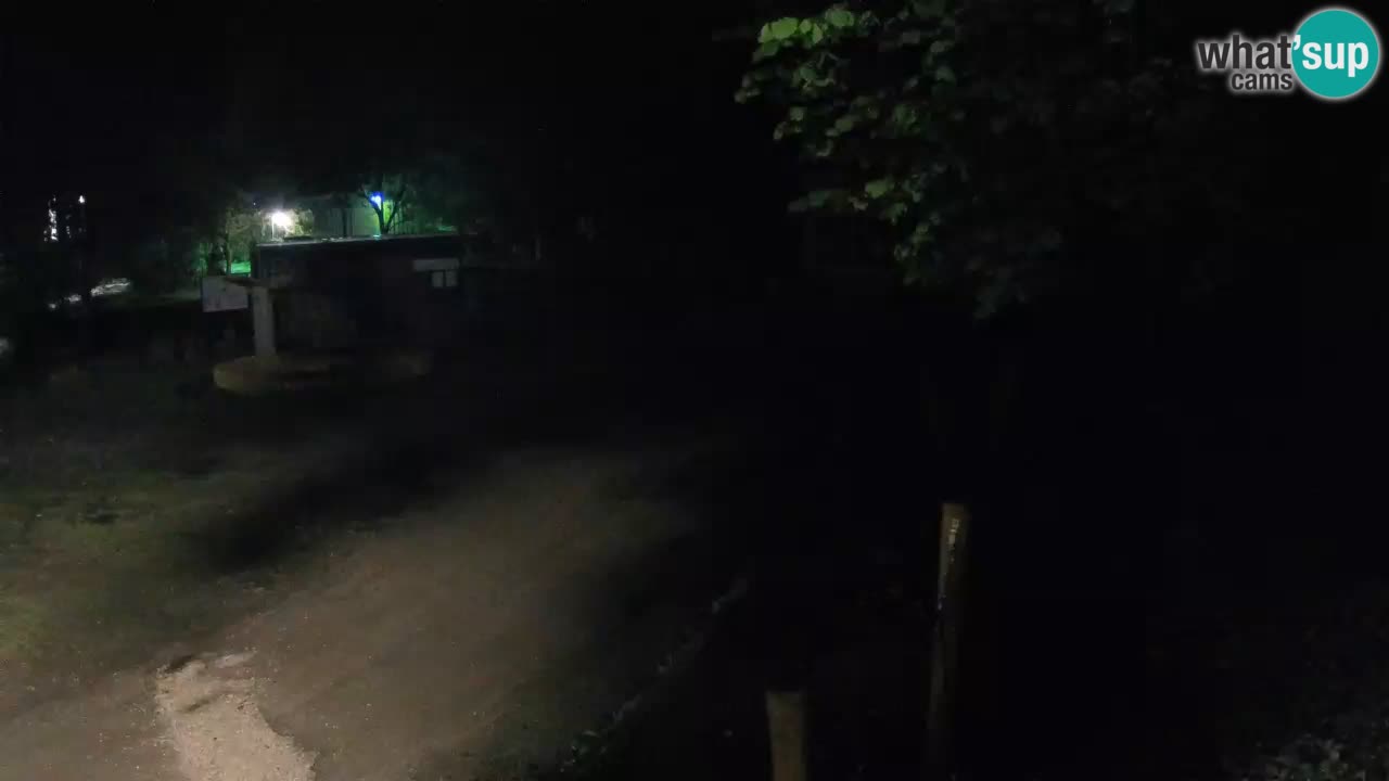 Skrad spletna kamera Zeleni Vir