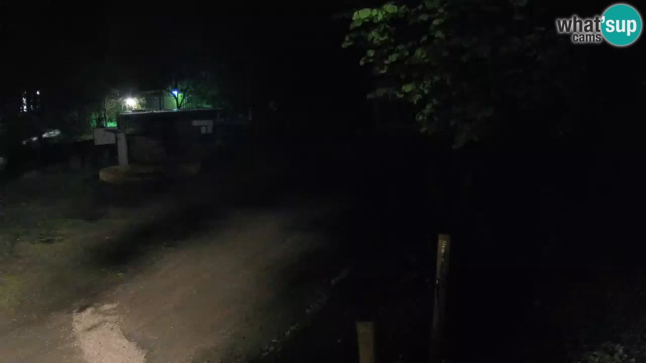 Skrad live cam Zeleni Vir