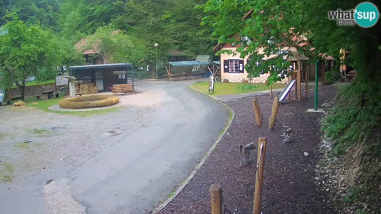Skrad webcam Zeleni Vir