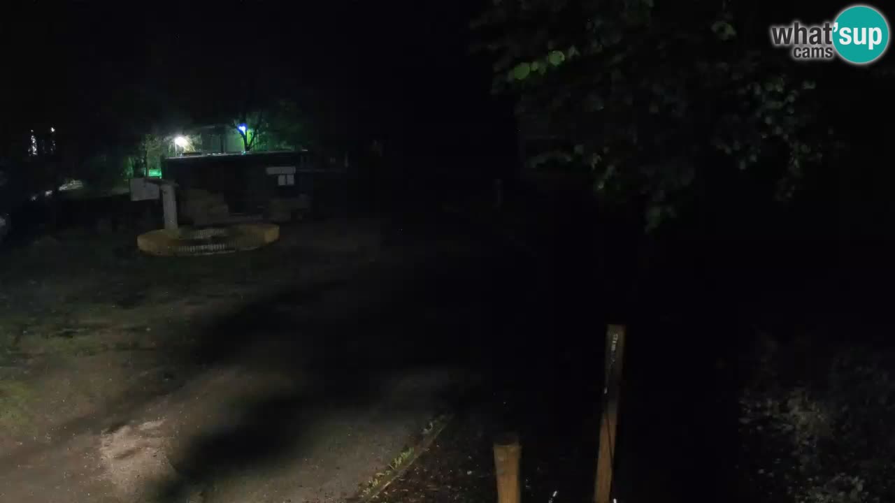 Skrad webcam Zeleni Vir