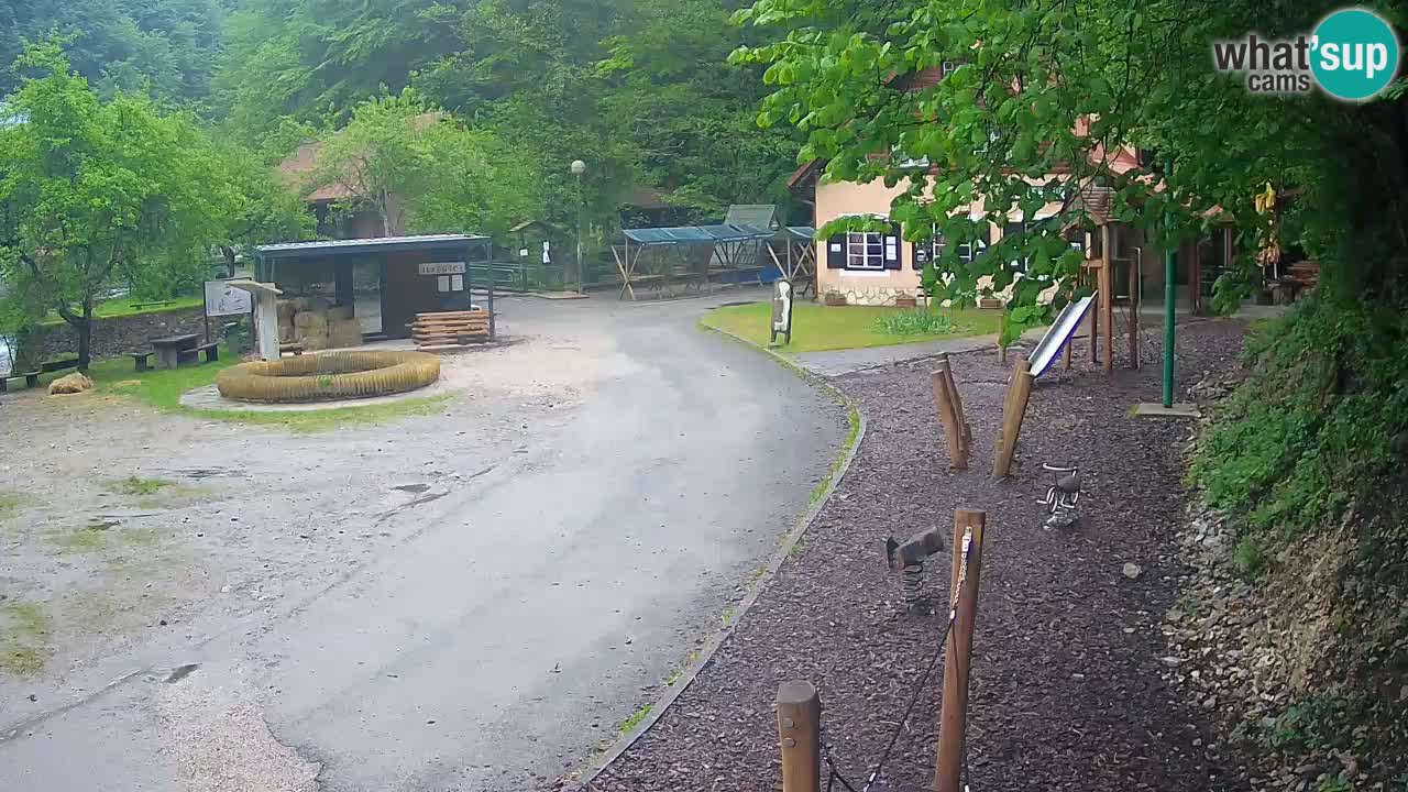 Skrad webcam Zeleni Vir