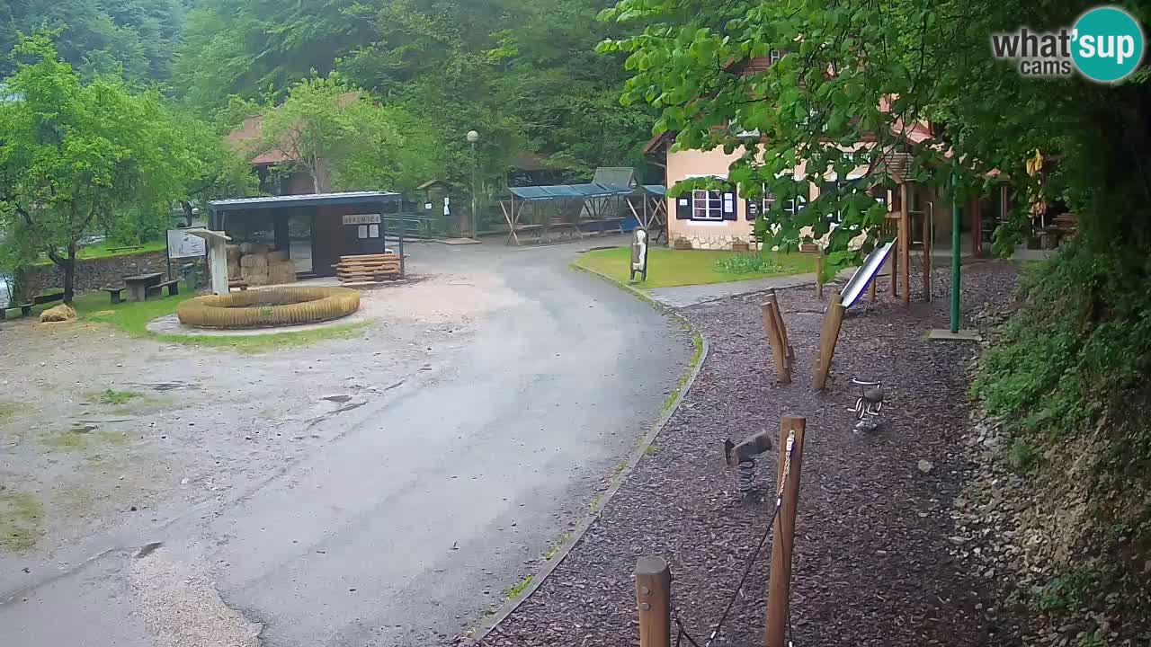 Skrad webcam Zeleni Vir
