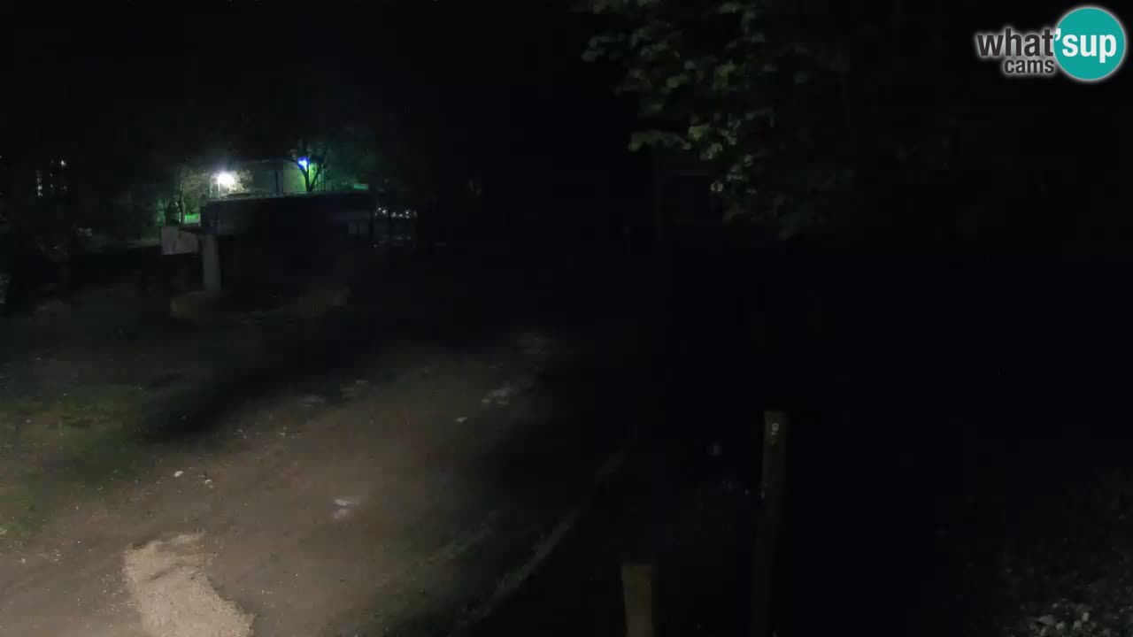 Skrad spletna kamera Zeleni Vir