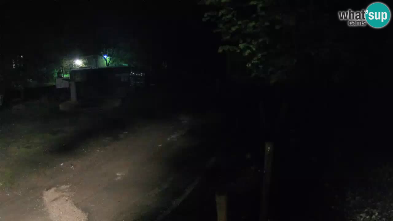 Skrad spletna kamera Zeleni Vir