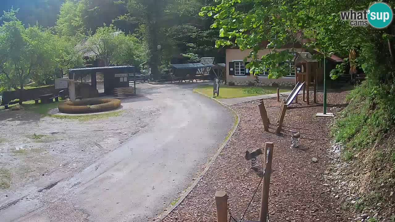 Skrad webcam Zeleni Vir