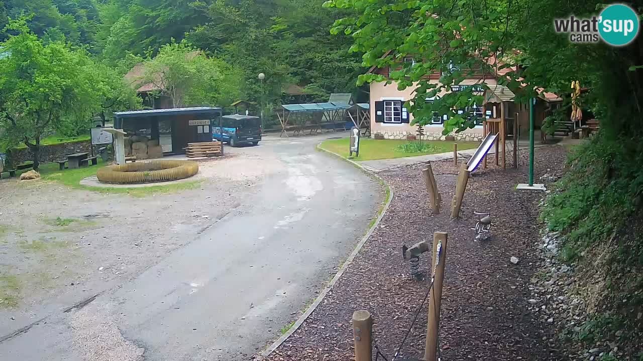 Skrad live cam Zeleni Vir
