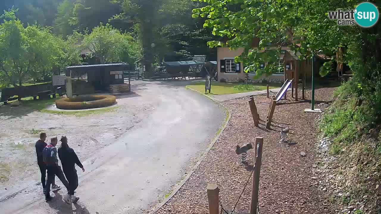 Skrad Livecam Zeleni Vir
