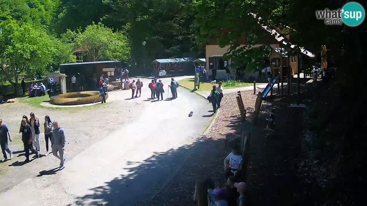 Skrad webcam Zeleni Vir