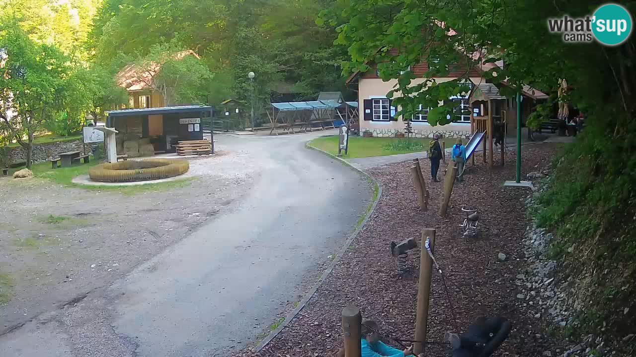 Skrad Livecam Zeleni Vir