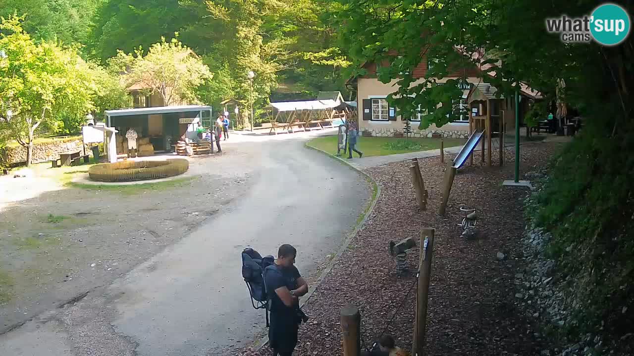 Skrad livecam Zeleni Vir