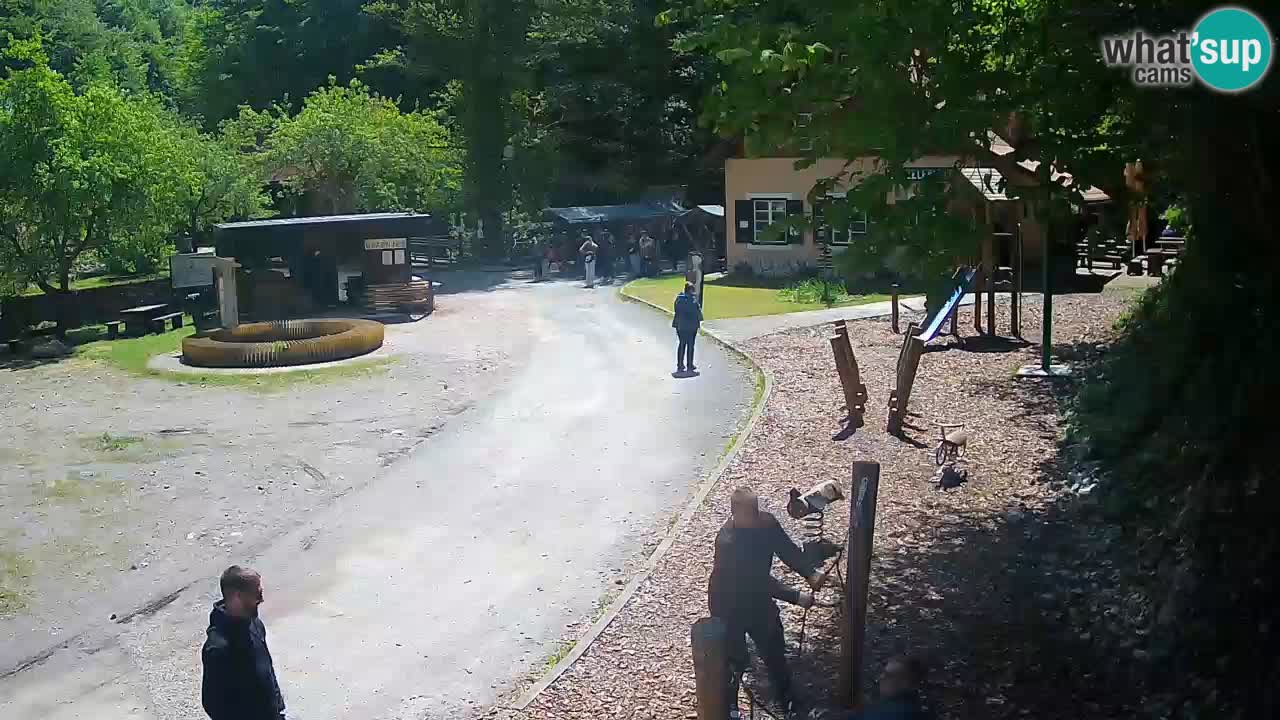 Skrad livecam Zeleni Vir