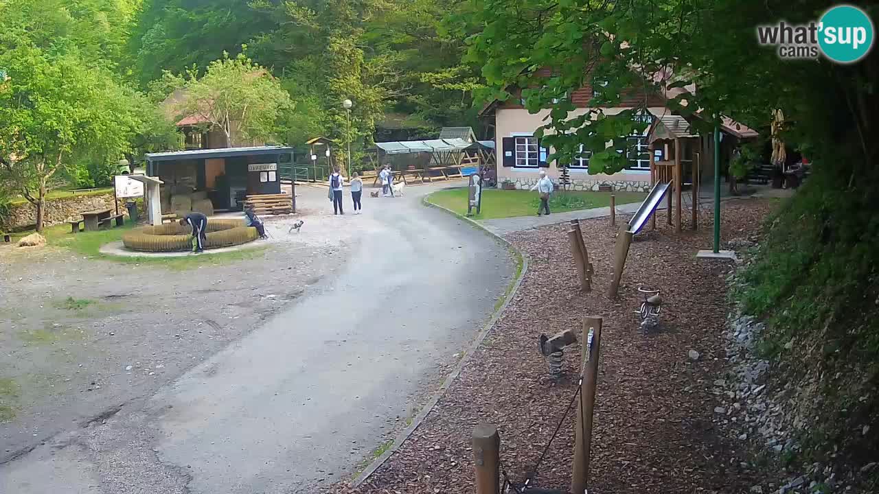 Skrad webcam Zeleni Vir