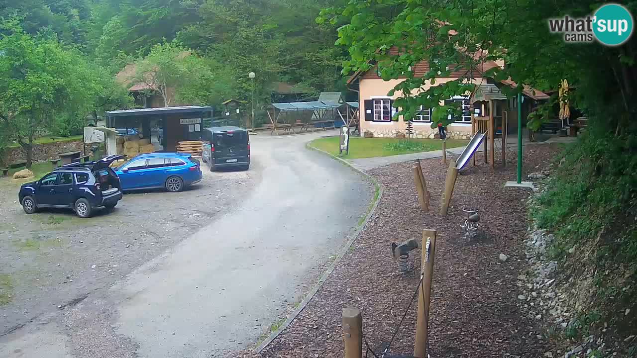 Skrad webcam Zeleni Vir