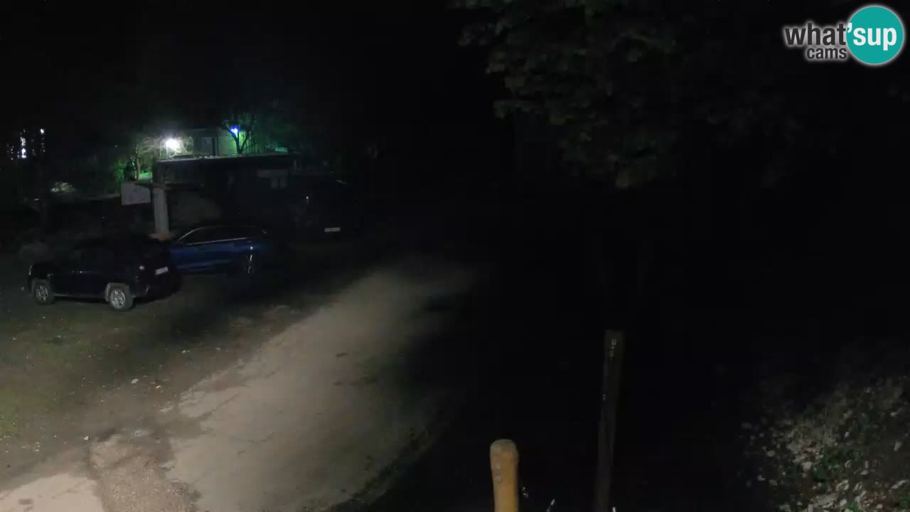 Skrad spletna kamera Zeleni Vir