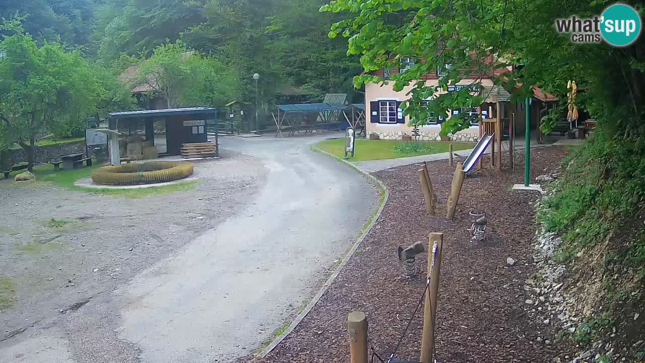 Skrad webcam Zeleni Vir