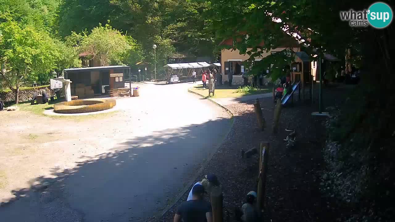 Skrad webcam Zeleni Vir