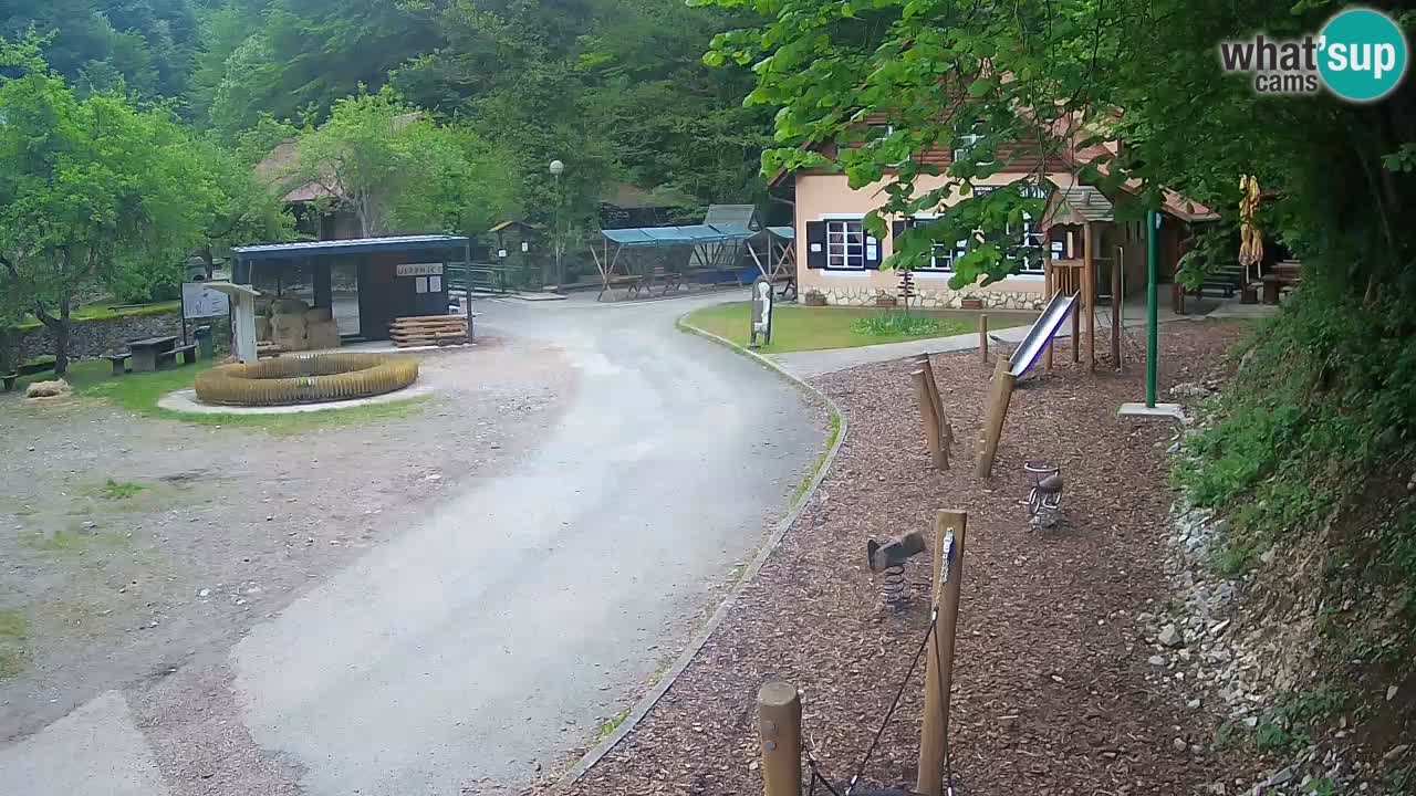 Skrad webcam Zeleni Vir