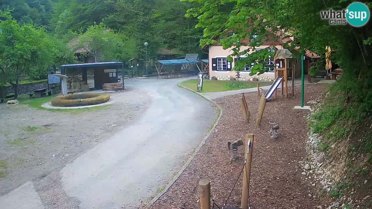 Skrad Livecam Zeleni Vir