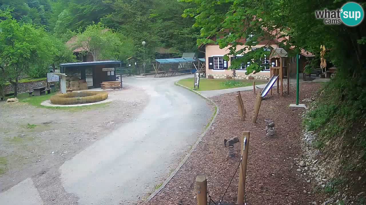 Skrad webcam Zeleni Vir