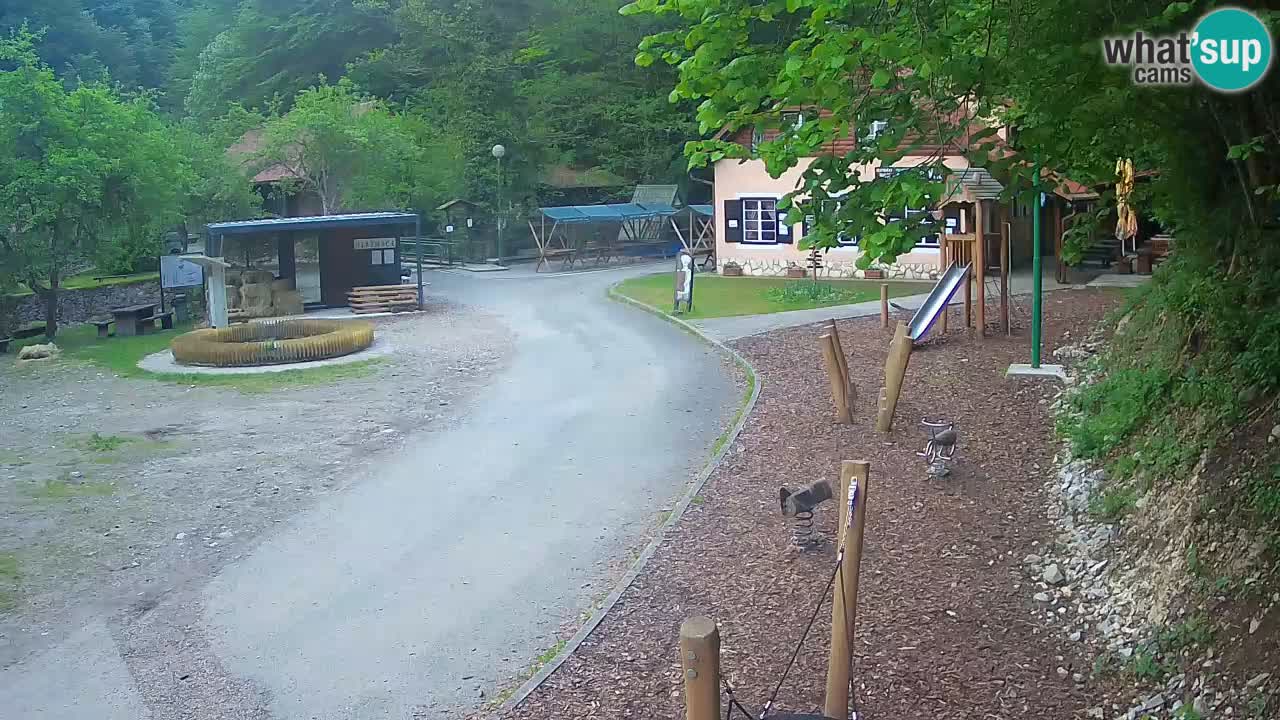 Skrad webcam Zeleni Vir