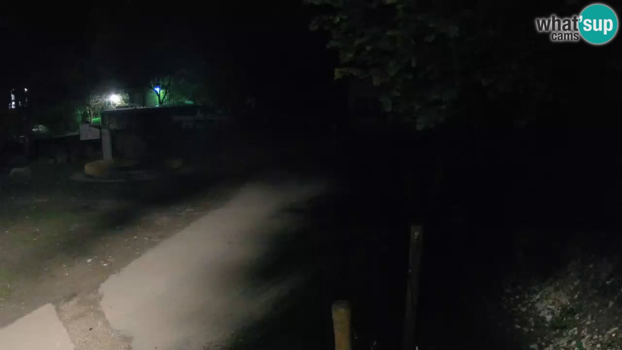 Skrad webcam Zeleni Vir