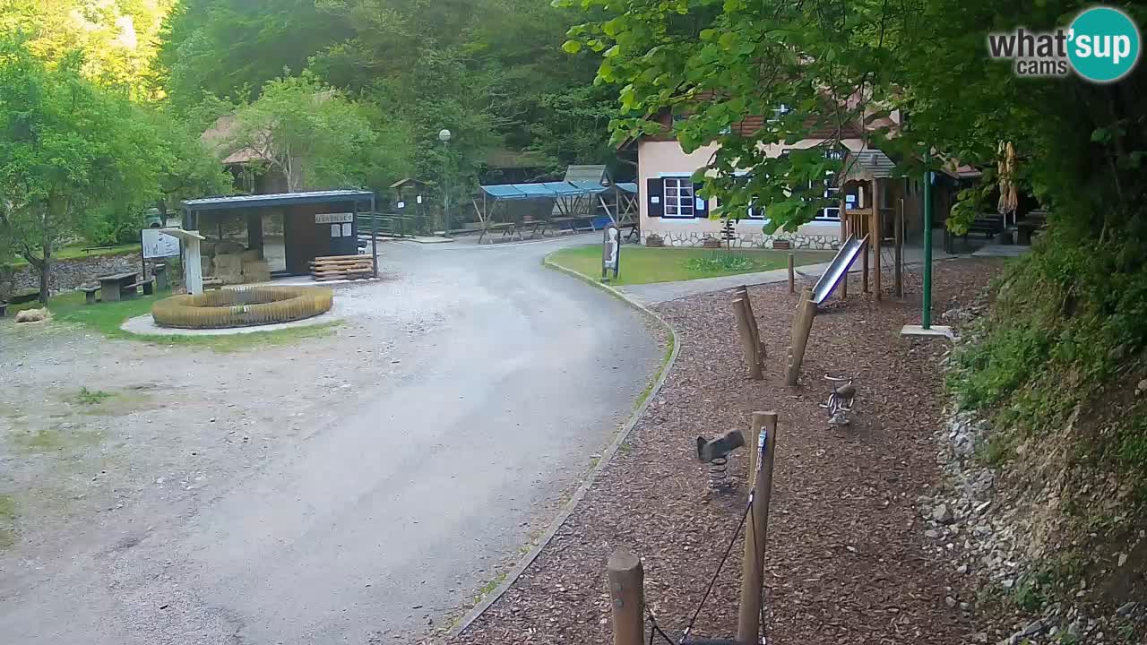 Skrad webcam Zeleni Vir