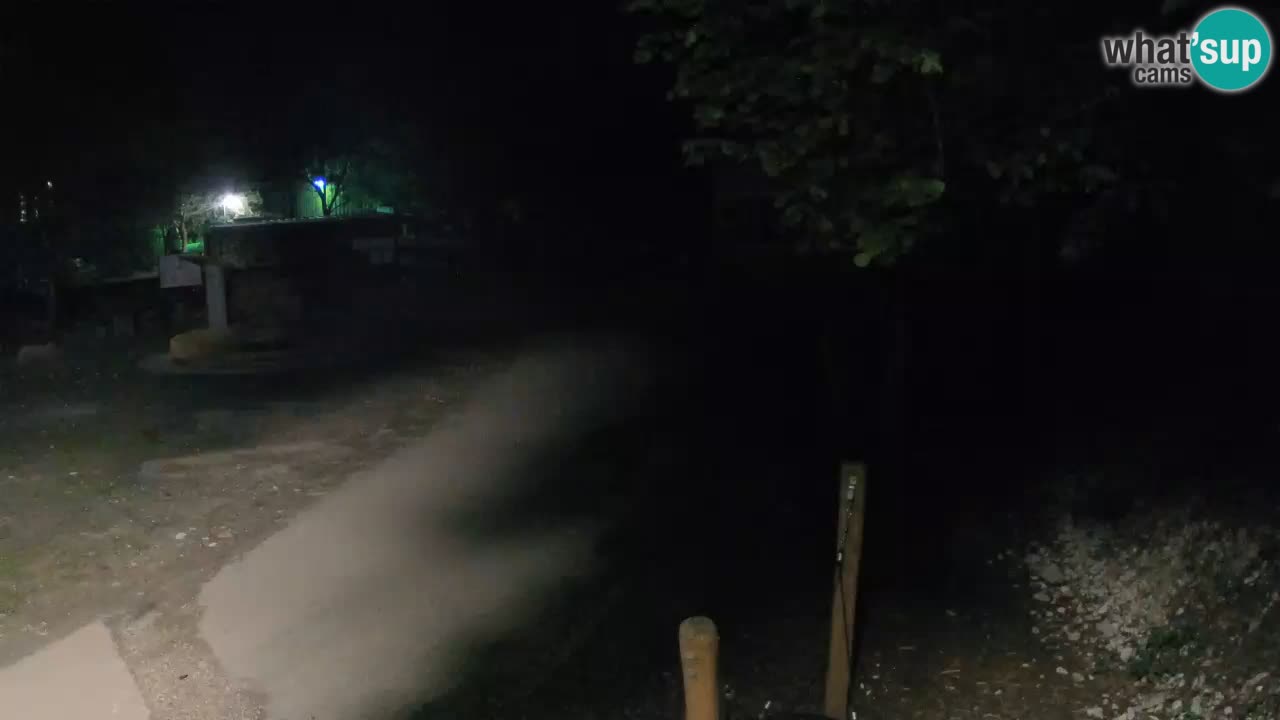 Skrad spletna kamera Zeleni Vir