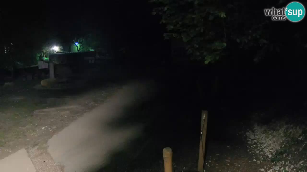 Skrad Livecam Zeleni Vir