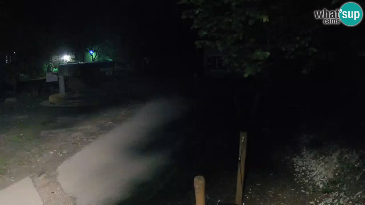 Skrad webcam Zeleni Vir