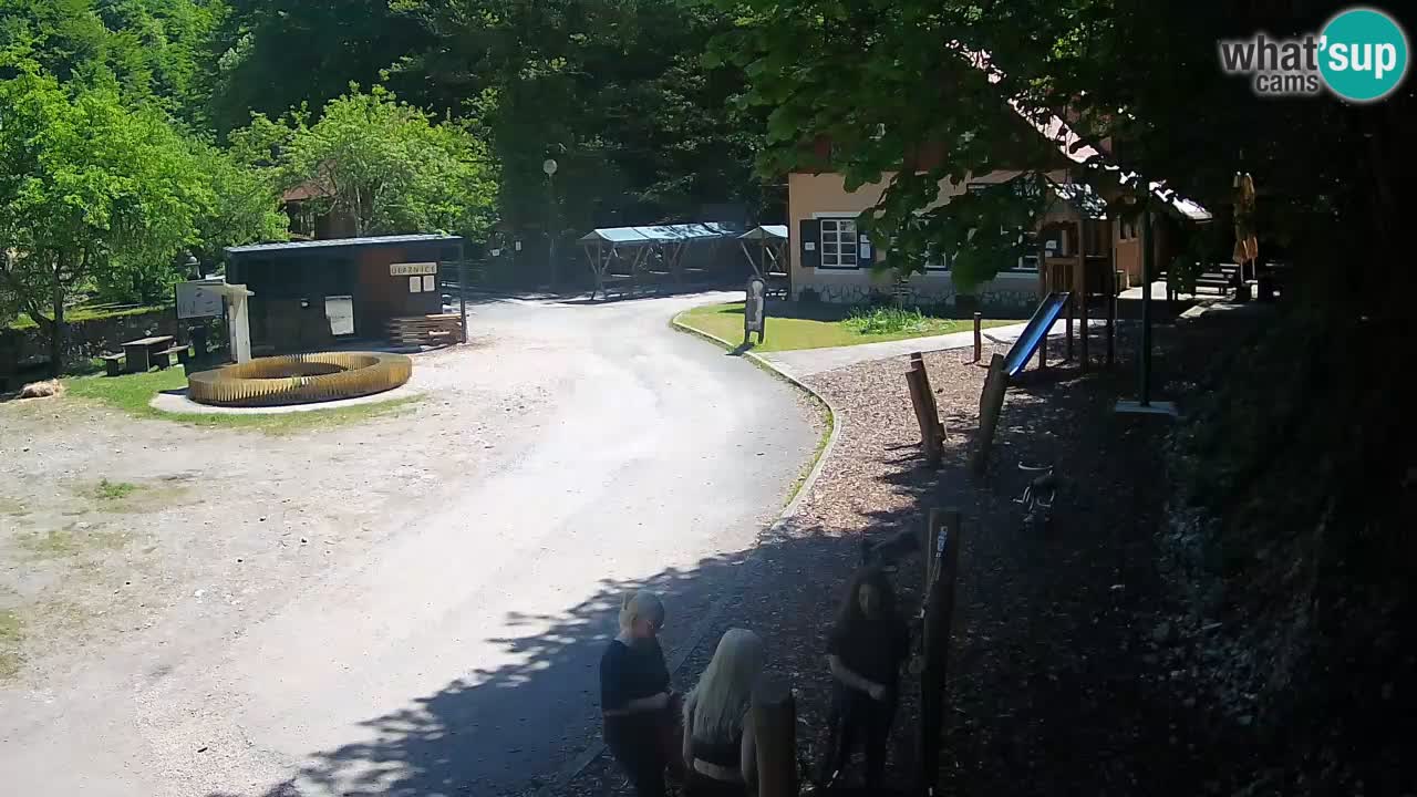 Skrad livecam Zeleni Vir